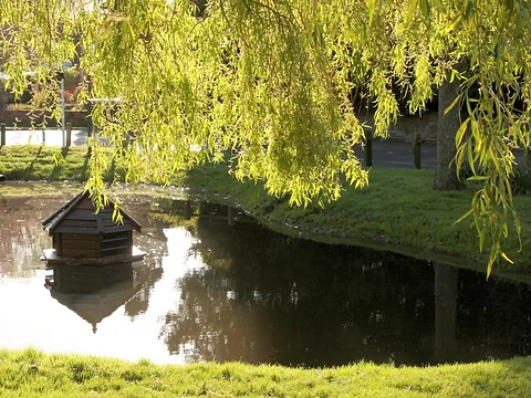 Upton Grey pond