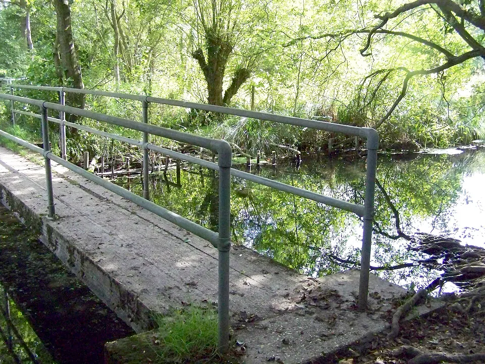 A wooden footbridge over the clear River Whitewater in Greywell Moors nature reserve, surrounded by trees